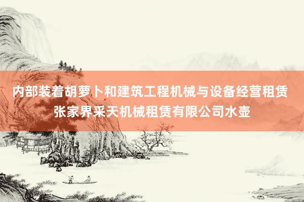 内部装着胡萝卜和建筑工程机械与设备经营租赁 张家界采天机械租赁有限公司水壶