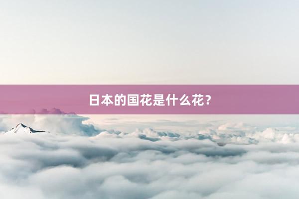日本的国花是什么花?