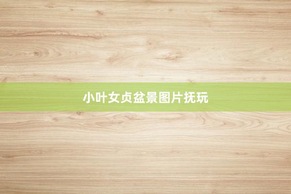 小叶女贞盆景图片抚玩