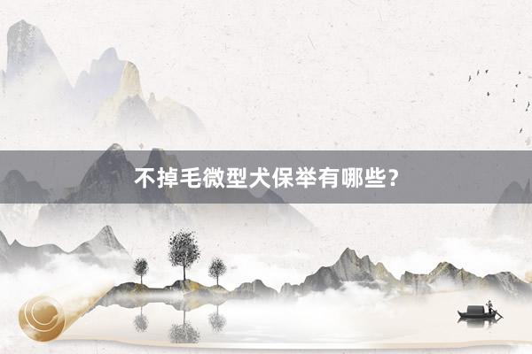 不掉毛微型犬保举有哪些?
